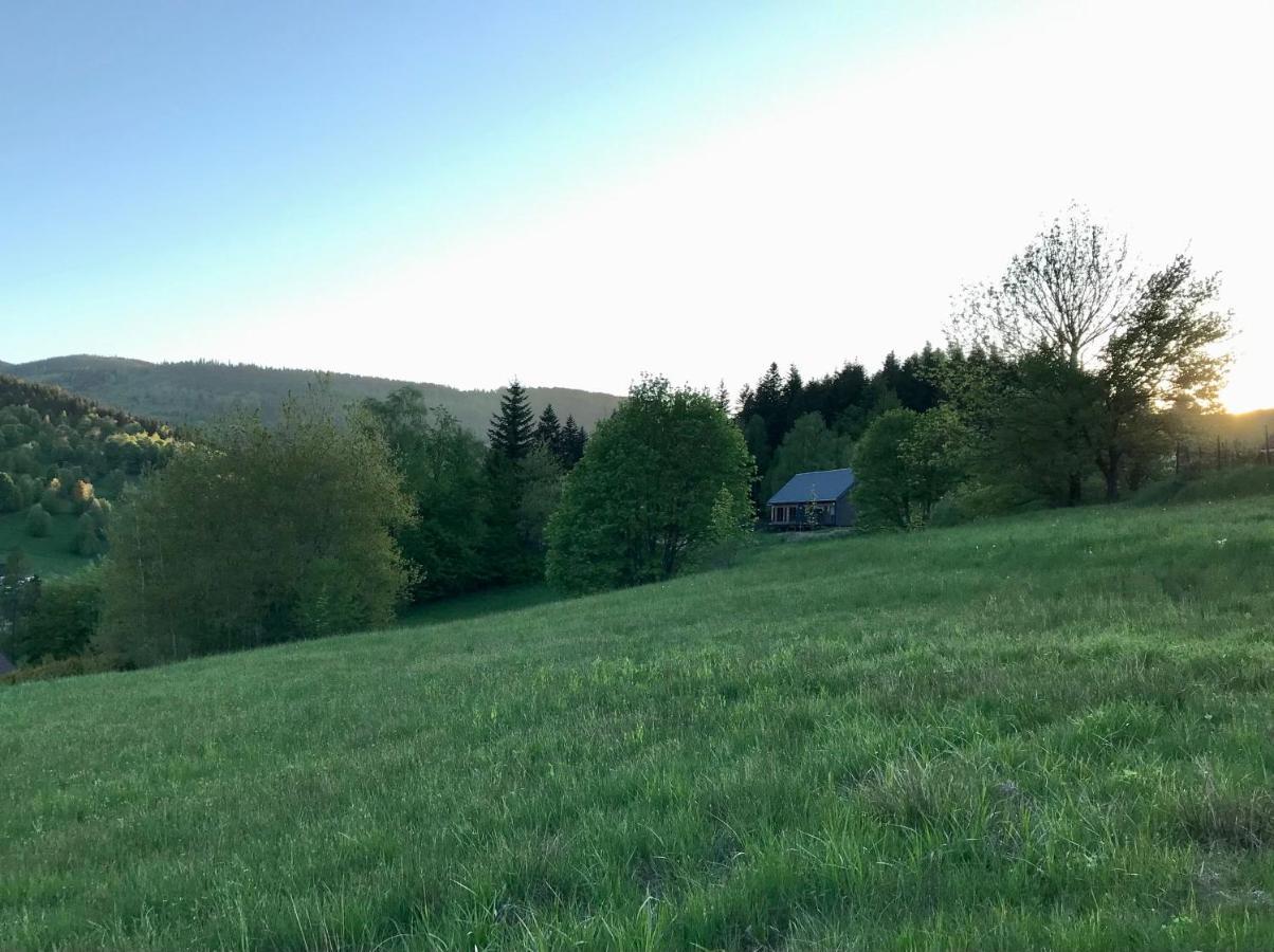 Widokowe Na Szczycie *